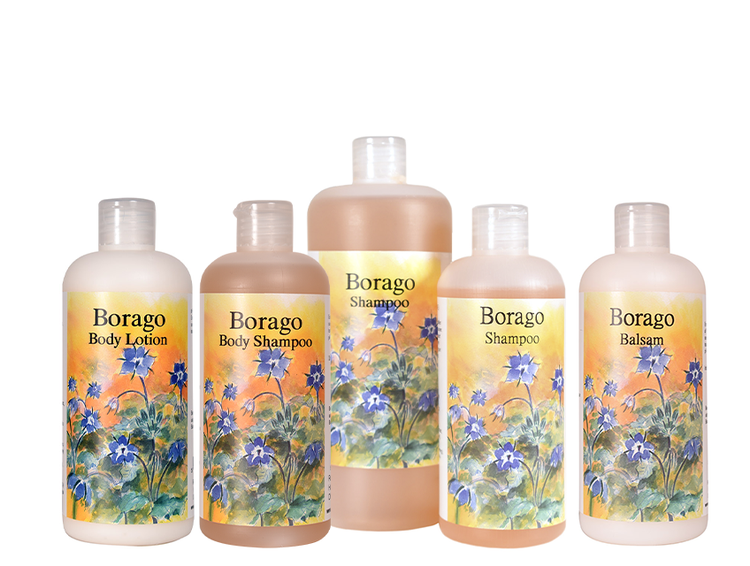 Borago  Serie